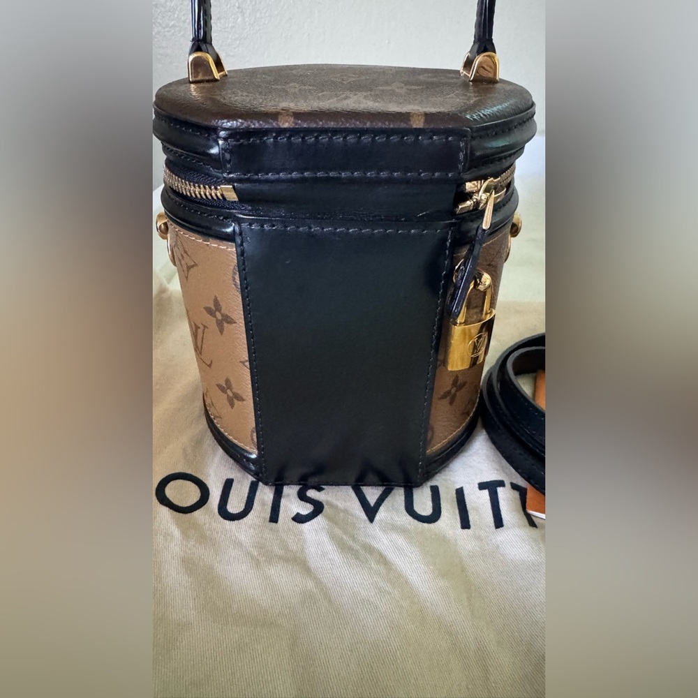 Authentic Louis Vuitton Cannes Monogram Reverse Canvas Bag - Picture 5 of 16